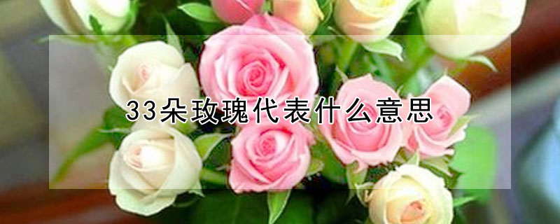 33õʲô˼33õԢʲô