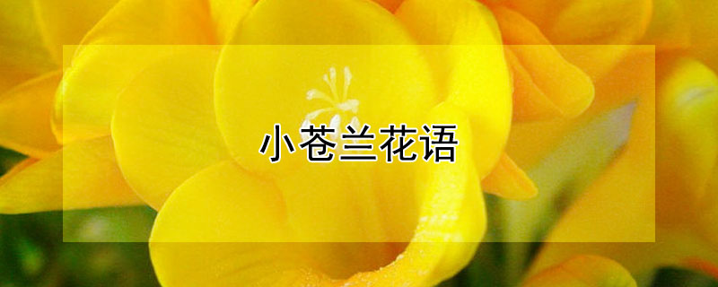 С
