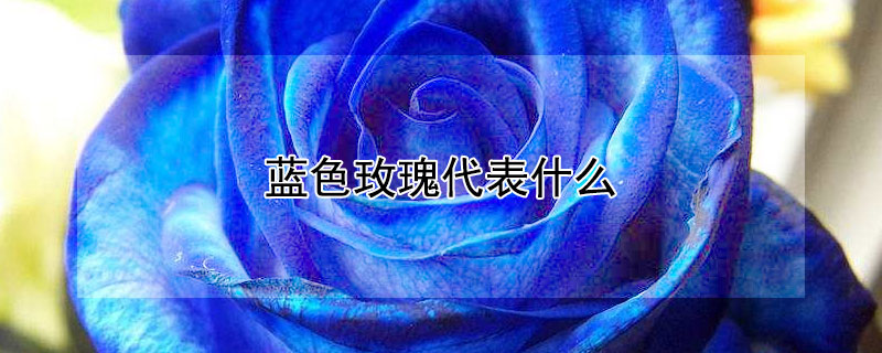 ɫõʲô壿ɫõԢ