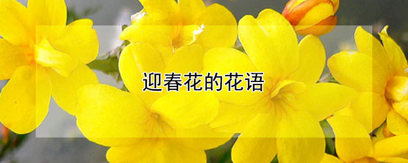 ӭĻʲô˼ӭʲôԢ⣿