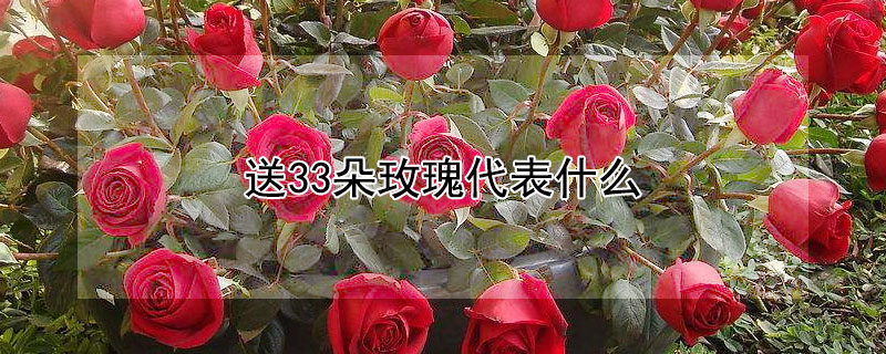 33õʲô