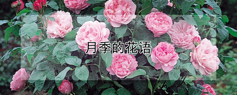 ͬɫ¼Ļ¼ЩԢ⣿