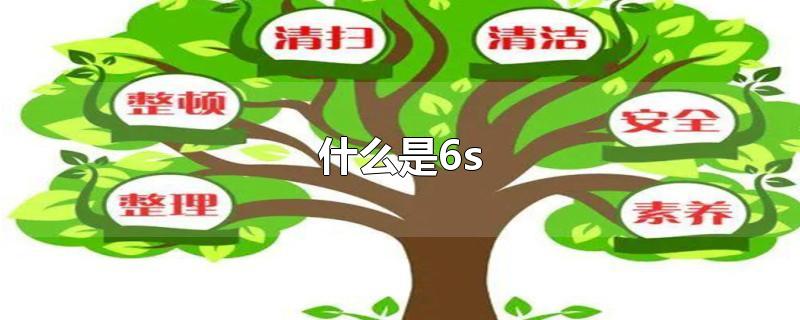 ʲô6s