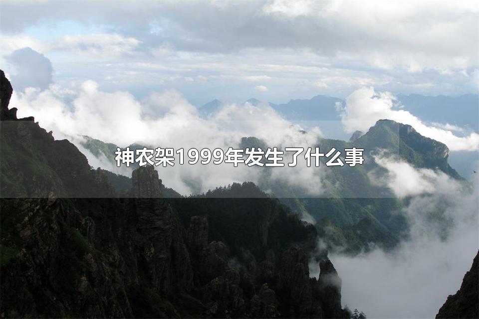 ũ1999귢ʲô ũ1999ô