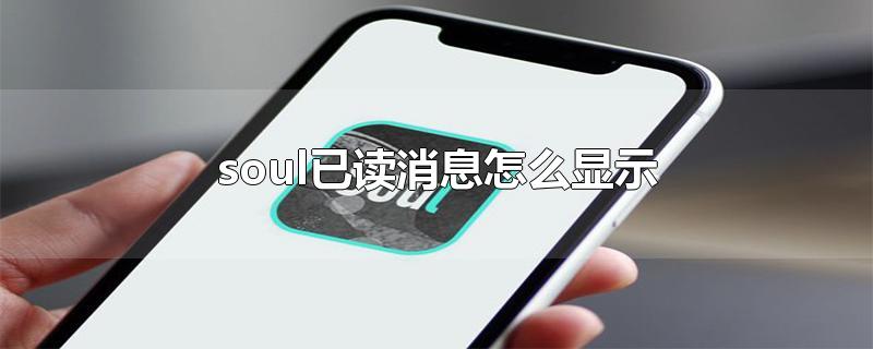 soulѶϢôʾ