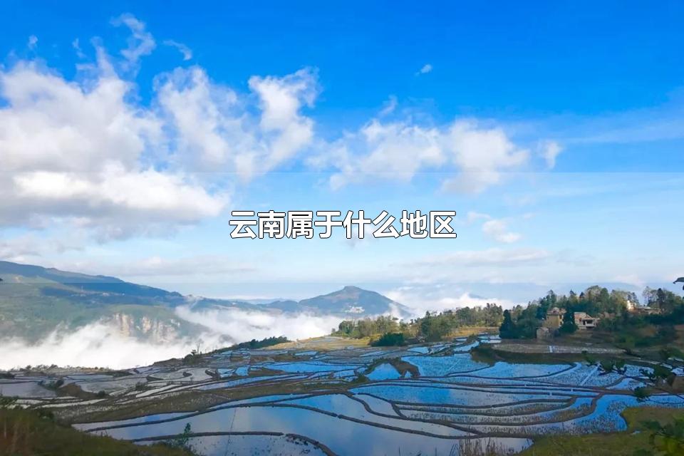 ʲô ʡʲô羰ʤ