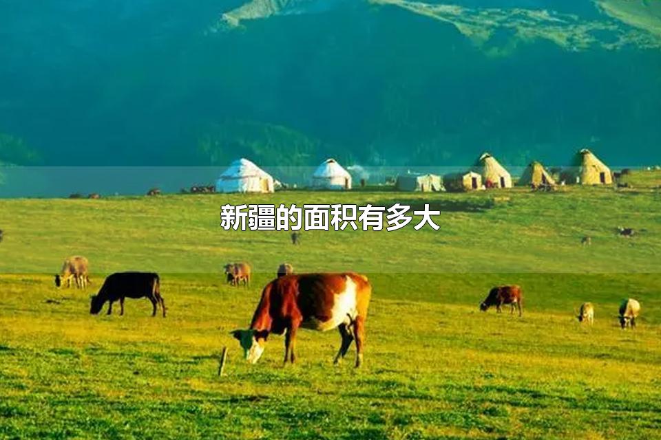½ж ½Щ羰ʤ
