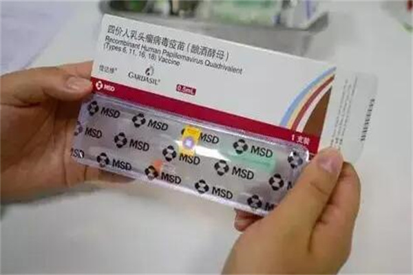 249۵ζǮ?ǧԪ