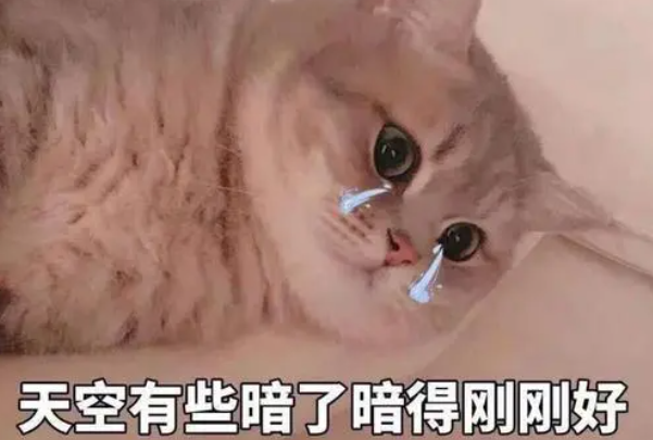 Ц˲ϵɳЦǳ(Ů)