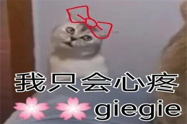 GIEGIEʲô?г(˼)