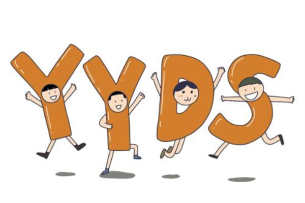 yydsʲô˼?Զ()
