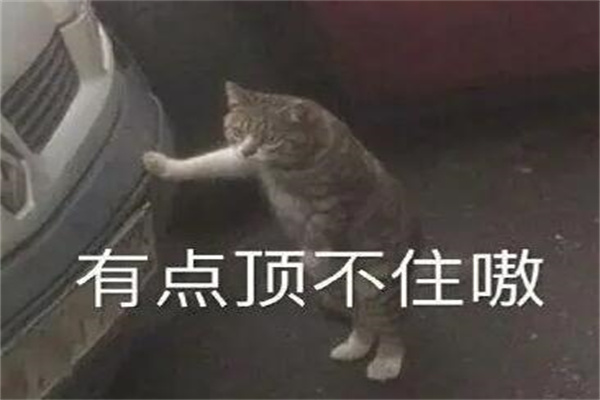 е㶥ʲô?еѶ(ԡ)