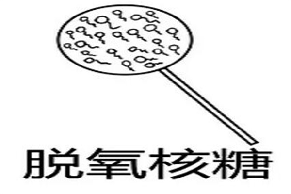ʲôе?ȾɫҪѧɷ(ָ)