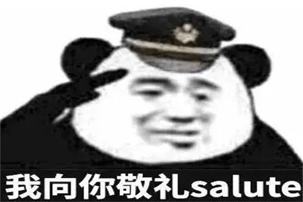 saluteʲôڶг(˼)