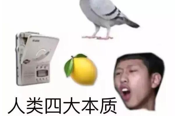 Ĵʲô?Ӿ/(㹽)