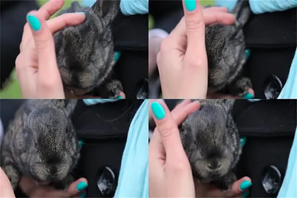 ӻ˵
