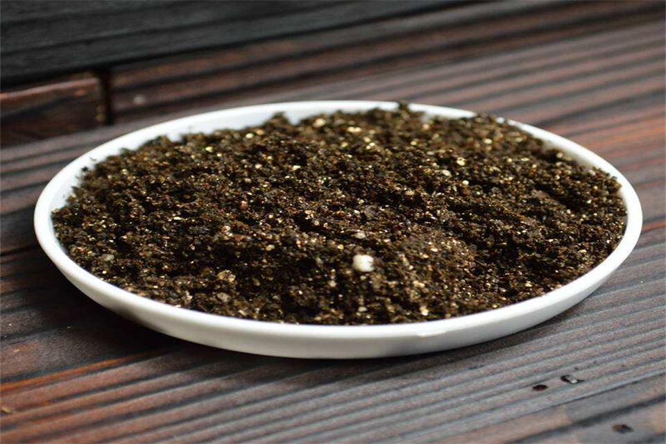 10ӪΪʲô5