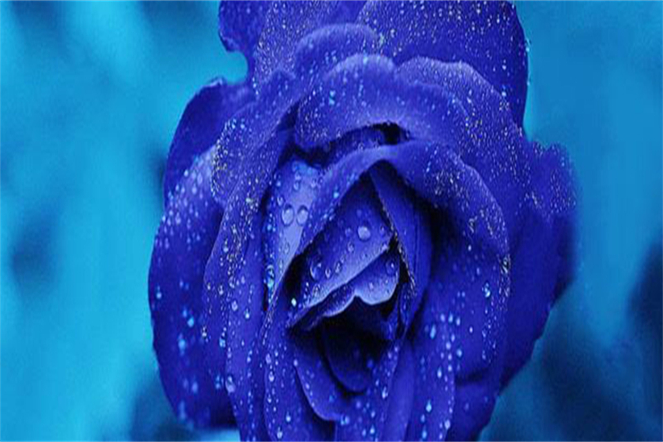 19ɫĻʲô˼