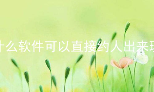 ʲôֱԼ˳