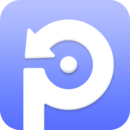 PDF