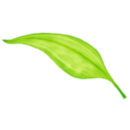 Xposedroot
