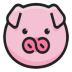 bt