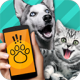 Pet TranslatorԻ