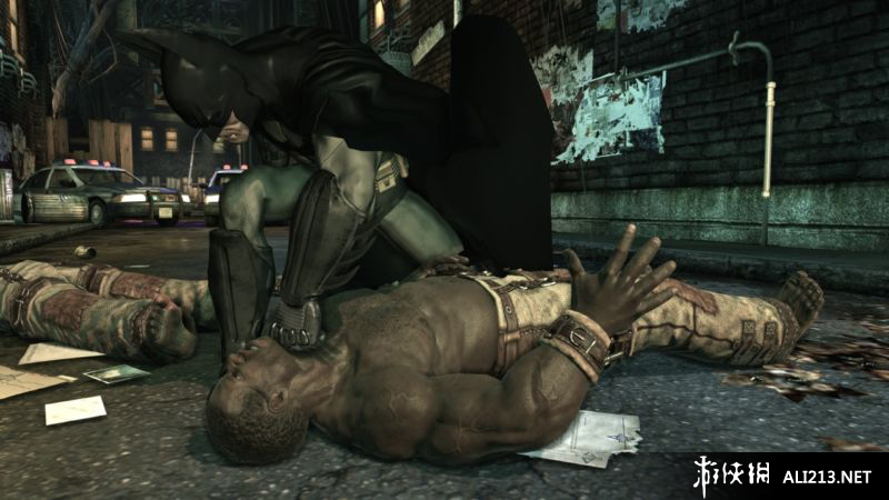 ֮ķԺBatman Arkham AsylumĺV1.1棨V1.1֮ǰ汾еBUG⡣ڰķԺV1.1汾Ϸʹ֮ǰؽϷV1.1棬װ󼴿ֱӽϷ