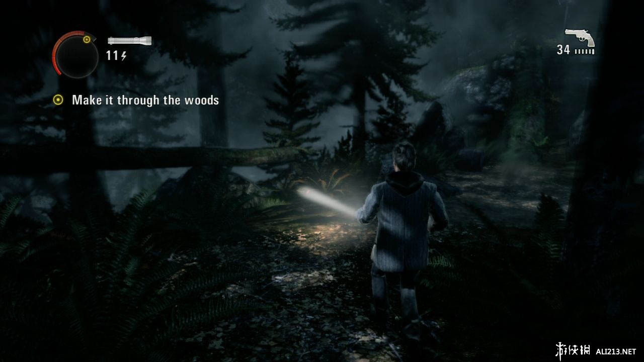 ɱ/ѣAlan Wake޸ 