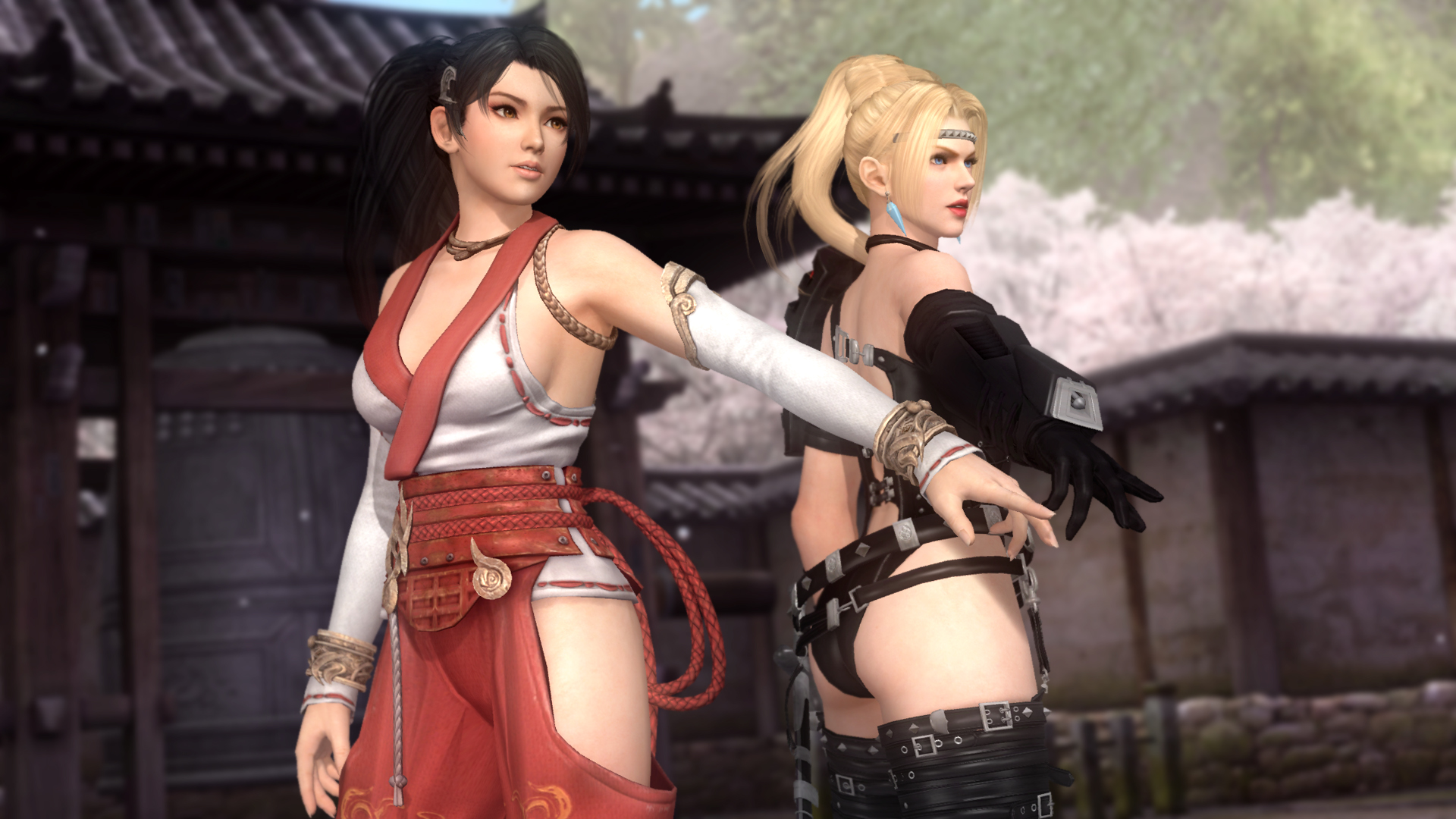 5һսDead Or Alive 5Last RoundͷMOD[Texmod]