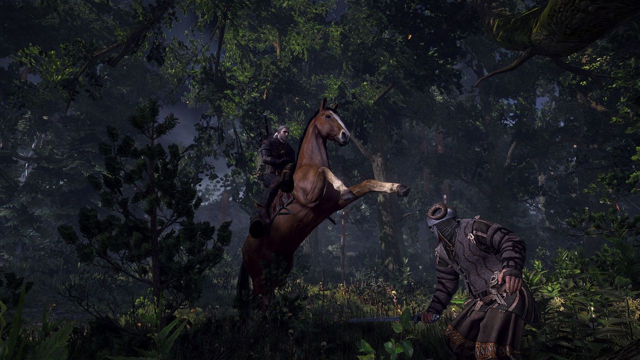 ʦ3ԣThe Witcher 3: Wild Huntͼö๦CE޸Ľű