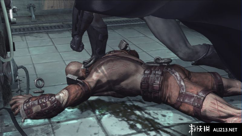 ֮ķԺȰ棨Batman: Arkham Asylum Game of the Year Edition㺺麺V1.21