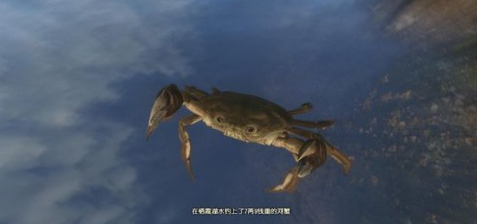 ͼƬ.png