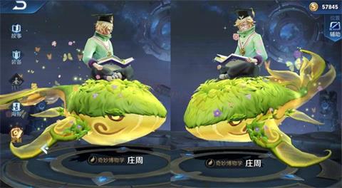 王者荣耀新英雄瑶再次开测 庄周新皮肤模型展示 王者荣耀教程攻略