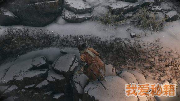 ֻǻ-ֻǻͨع[ͼ]
