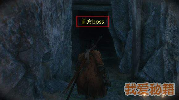 ֻǻ-ֻǻͨع[ͼ]