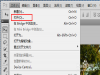 photoshop expressθ ޸ͼƬط