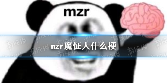 mzr是什么意思 mzr是什么梗 mzr魔怔人梗介绍