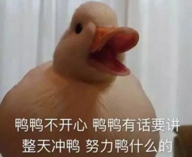 duckʲôɶ˼ duckôĳ