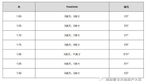 一英尺等于多少米换算图片