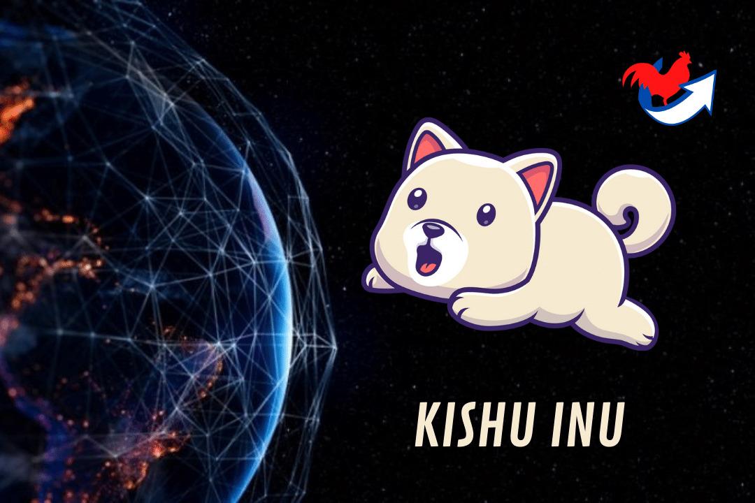 kishu?