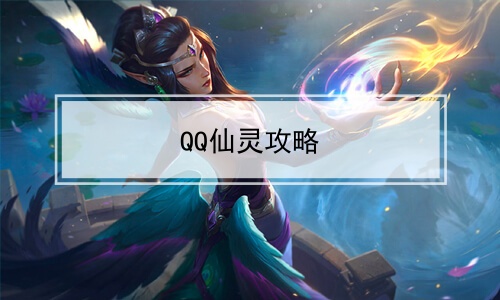 QQ鹥