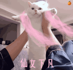 һ˯ȫ һ˯