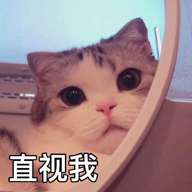 һ˯ȫ һ˯