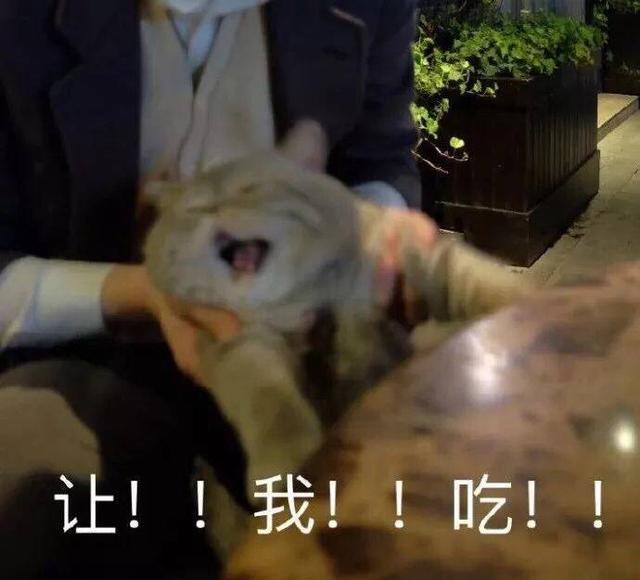 һ˯ȫ һ˯