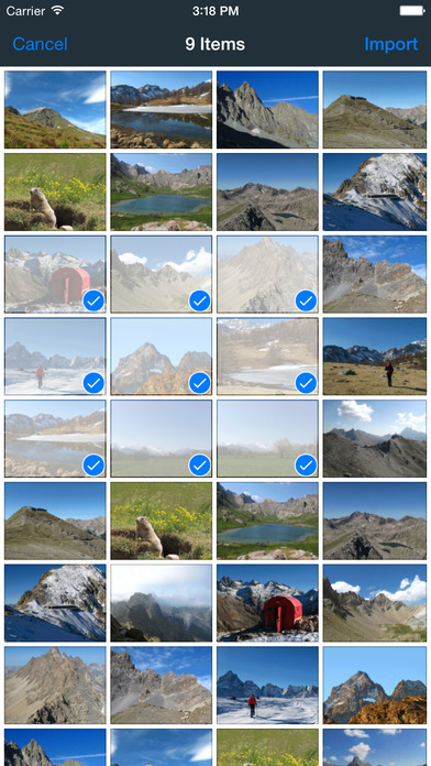 File Transfer
