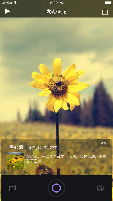 发现?识花