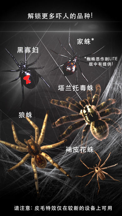 蜘蛛恶作剧简版