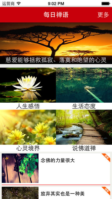 每日禅语