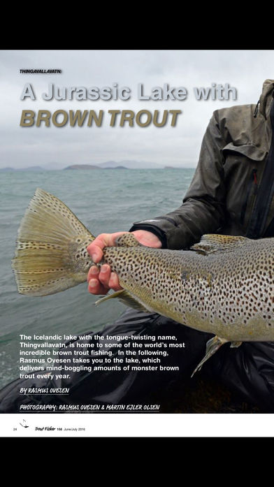 NZ Trout Fisher